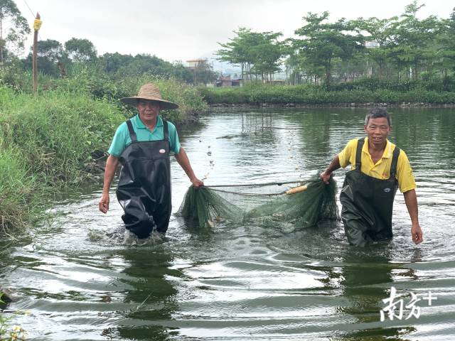 赖前辉与堂兄弟网鱼。陈咏怀摄
