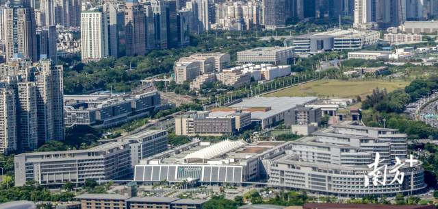 香港大学深圳医院。