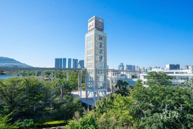 北大深圳研究生院。（图源：学校官网）