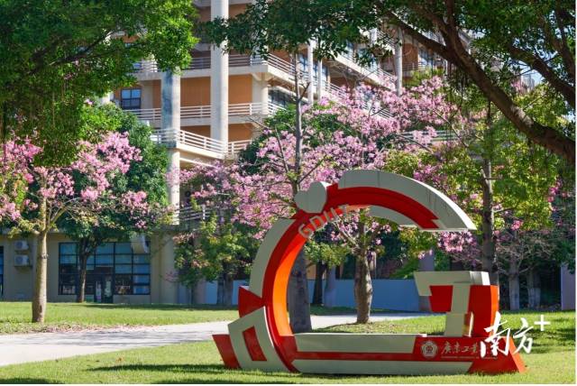 安博app最新版下载校园图景。受访者供图